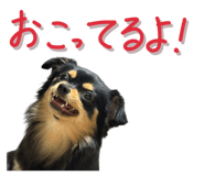838844443