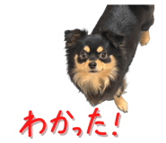 838844446