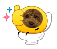 838844752