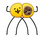 838844753