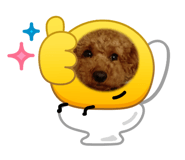 838844759