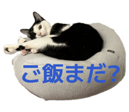 838844802