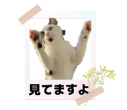838844808