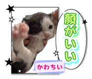 838844809