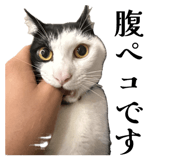 838844836