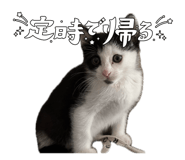 838844840