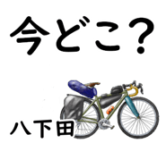 838851733
