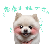 838852281