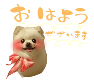 838852284