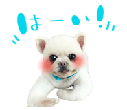838852288