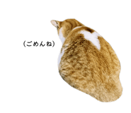 838852517