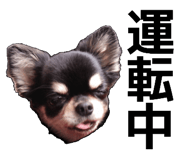 838852581