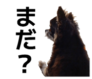 838852584