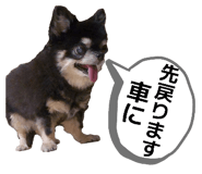 838852588