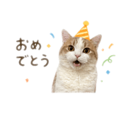 838852982