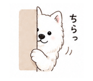 838853243