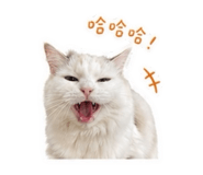 838854514
