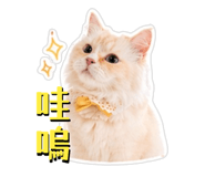 838854518