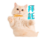 838854532