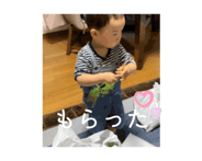 838861482