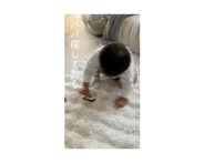838861486