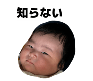 838863633
