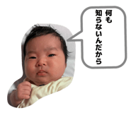 838863647