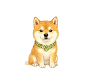 838864380