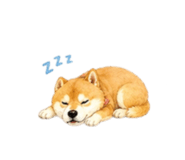 838864384