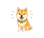 838864393