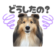 838865199