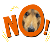 838865206