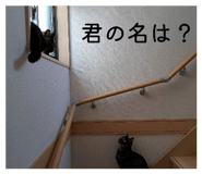 838865286