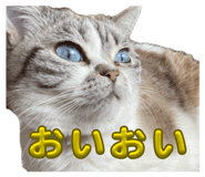 838867002