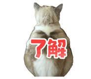 838867007