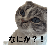 838867009