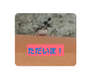838867085