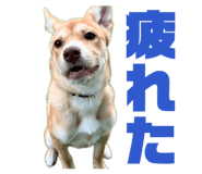 838867582