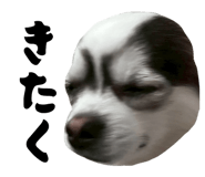 838867680