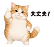 838867717
