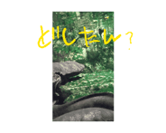 838867748