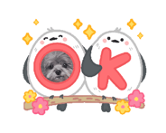 838868491