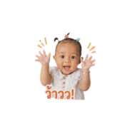 838876102