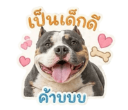 838876796