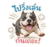 838876797