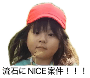 838877211
