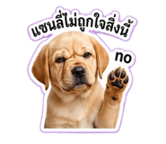 838877397