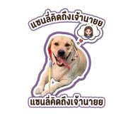 838877399
