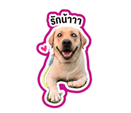 838877400