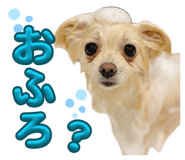 838878169